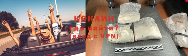 прущие грибы Балахна