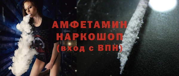 прущие грибы Балахна