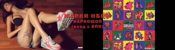 прущие грибы Балахна