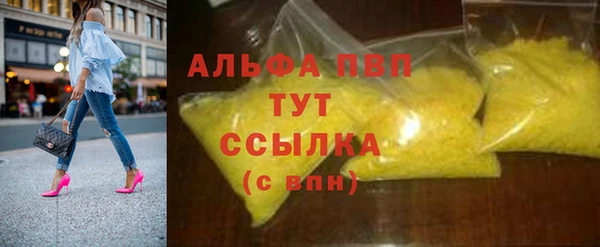 прущие грибы Балахна