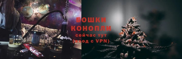 прущие грибы Балахна