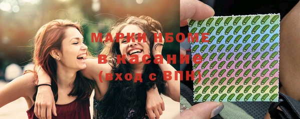 прущие грибы Балахна