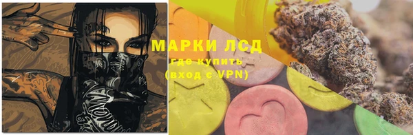 прущие грибы Балахна