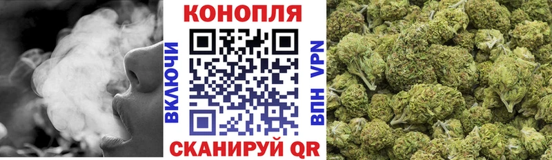Шишки марихуана планчик  Гремячинск 